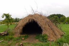 DSCN2153