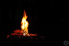 DSCF6301