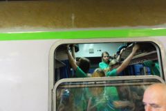 13913676_532725996919632_4345743723595955603_o