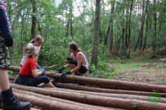 13512146_774434836027481_2844576514427390507_n_774434836027481