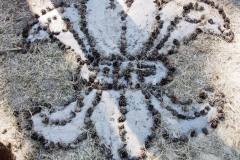 10532882_472128136258154_3443006342982510884_o_472128136258154