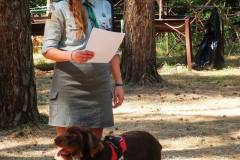 10604098_479519518852349_2851134819689067016_o_479519518852349