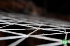 10497521_472113322926302_3603120107239133584_o_472113322926302