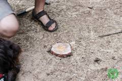 10499590_472116739592627_6384439702535143761_o_472116739592627