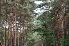 10528372_472115069592794_4551417765951337229_o_472115069592794