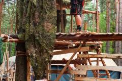 10530475_479525775518390_1653541542395914040_o_479525775518390