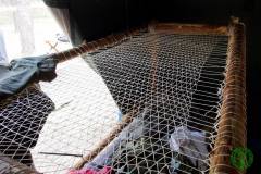 10535571_472118102925824_3866938249028168084_o_472118102925824