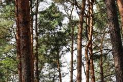 10549235_472115509592750_562842578056152041_o_472115509592750