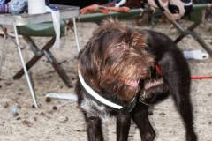 10553861_472116922925942_2612416637160603468_o_472116922925942