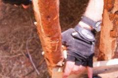 10604555_479533845517583_7550537565761524164_o_479533845517583