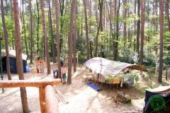 1531668_479533948850906_7985358456290230156_o_479533948850906