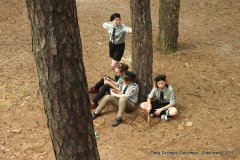 526390_156434941160810_559590033_n_156434941160810