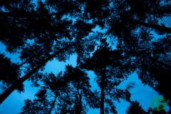 10542403_472250346245933_6228374332592399795_o_472250346245933