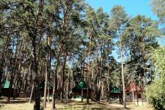 1074727_303095353161434_1660721729_o_303095353161434