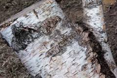 132896_303095729828063_1419943384_o_303095729828063