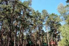 965372_303095296494773_1358476374_o_303095296494773