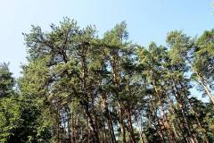 981442_303095319828104_1427038631_o_303095319828104