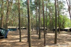 255342_155779254559712_369502562_n_155779254559712