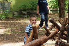 482085_155781294559508_1295797420_n_155781294559508