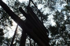 488216_155781931226111_699830477_n_155781931226111