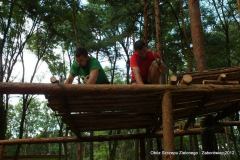 551165_155777177893253_641187825_n_155777177893253