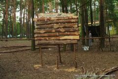 553615_155776201226684_2108997898_n_155776201226684