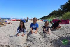 13532922_774354292702202_905899361067764250_n_774354292702202