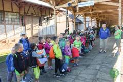 13537597_774351346035830_1291620937843053241_n_774351346035830