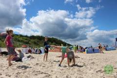 13567121_774354579368840_3799538918125525301_n_774354579368840