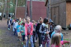 13599875_774351712702460_4475539019362540845_n_774351712702460