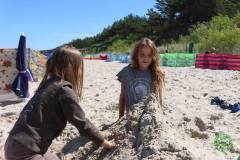 13606739_774354199368878_3767054899840687112_n_774354199368878