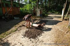 391204_155809221223382_2102443480_n_155809221223382