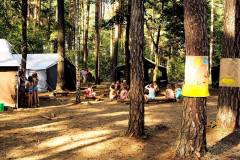 1008799_305327182938251_461359618_o_305327182938251