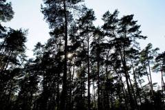 1009187_305327496271553_156585477_o_305327496271553