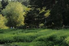 1073947_305329586271344_2127300808_o_305329586271344