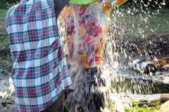 1085163_305331692937800_864191157_o_305331692937800