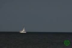 13495198_777179722419659_3927255227052838384_n_777179722419659