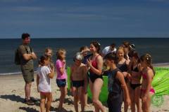 13645115_777178669086431_3197655257120504792_n_777178669086431