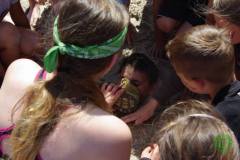 13654304_777179215753043_8339318044554295665_n_777179215753043