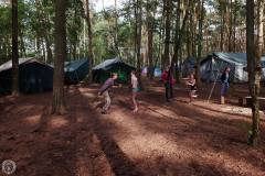 13668008_788135381324093_6190009758812208005_o_788135381324093