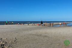 11223966_636073333196966_6672669872497777786_n_636073333196966