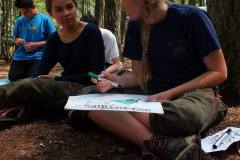 13585074_776828285788136_7257457273760853378_o_776828285788136