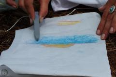 13613364_776828175788147_4003090943820813978_o_776828175788147