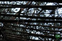 11222234_636066839864282_41338167124812935_n_636066839864282