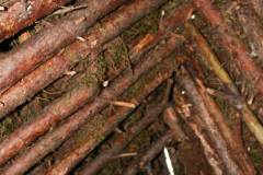 11796200_636066349864331_2609634558400910469_n_636066349864331