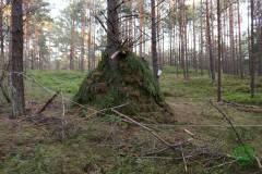 11796400_636066703197629_3875375830145651874_n_636066703197629