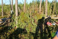 11800281_636066163197683_6092855216058919158_n_636066163197683