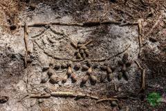 11800410_636065966531036_947682720703215107_n_636065966531036