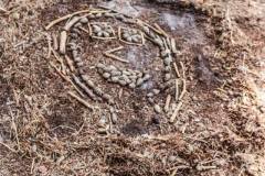 11800542_636065933197706_4733194941947398952_n_636065933197706