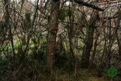 11811396_636067096530923_6945405555089077138_n_636067096530923